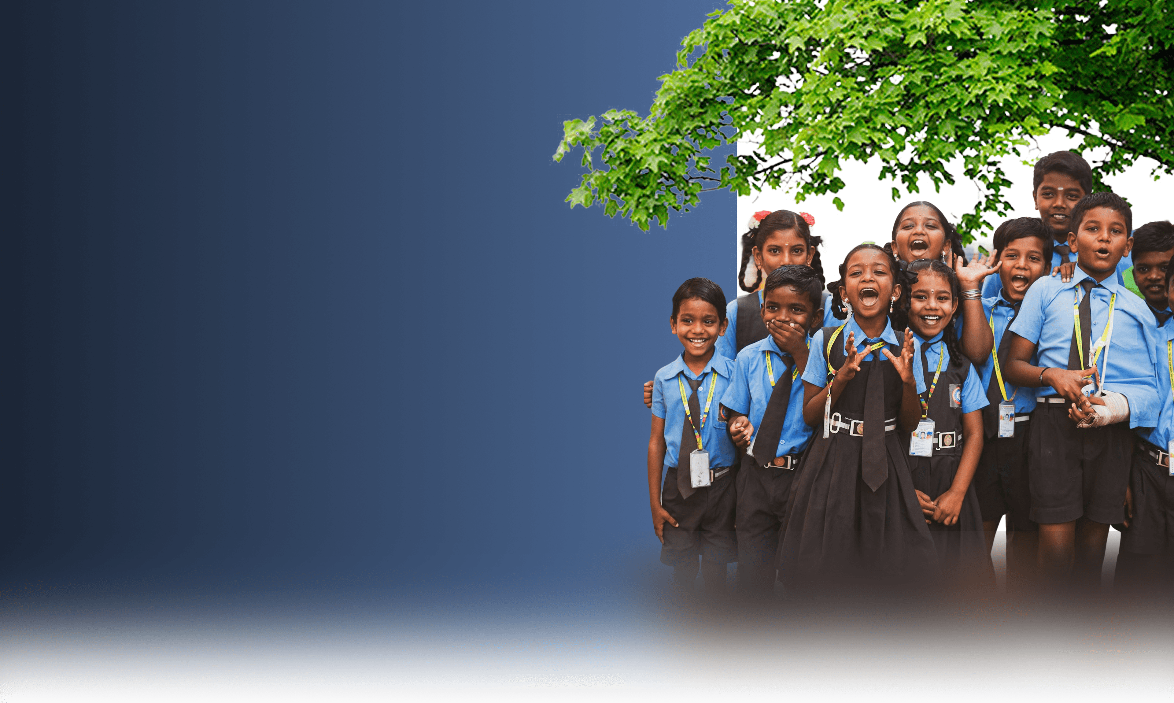 Student background